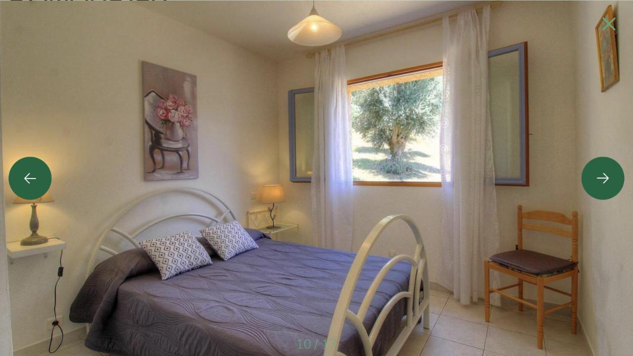 L'Amandier -Le Figuier-Les Lauriers Roses Ajaccio  Buitenkant foto
