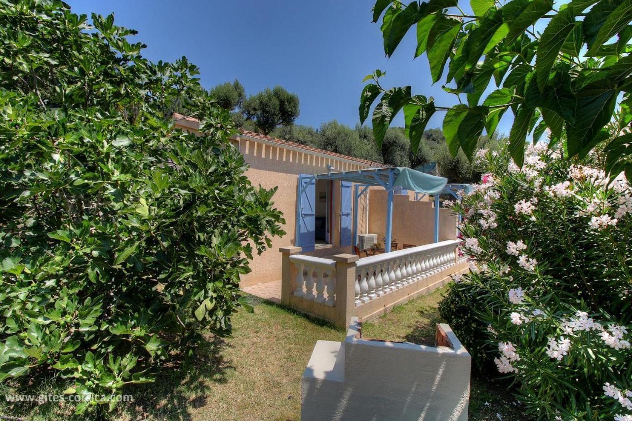 L'Amandier -Le Figuier-Les Lauriers Roses Ajaccio  Buitenkant foto