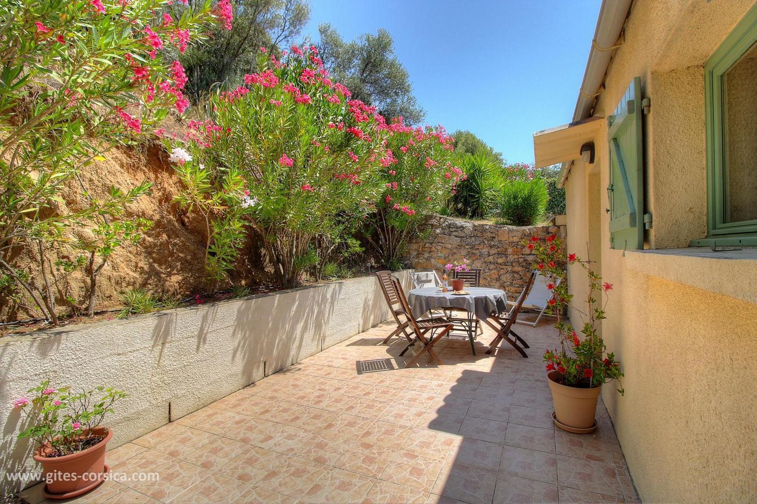 L'Amandier -Le Figuier-Les Lauriers Roses Ajaccio  Buitenkant foto
