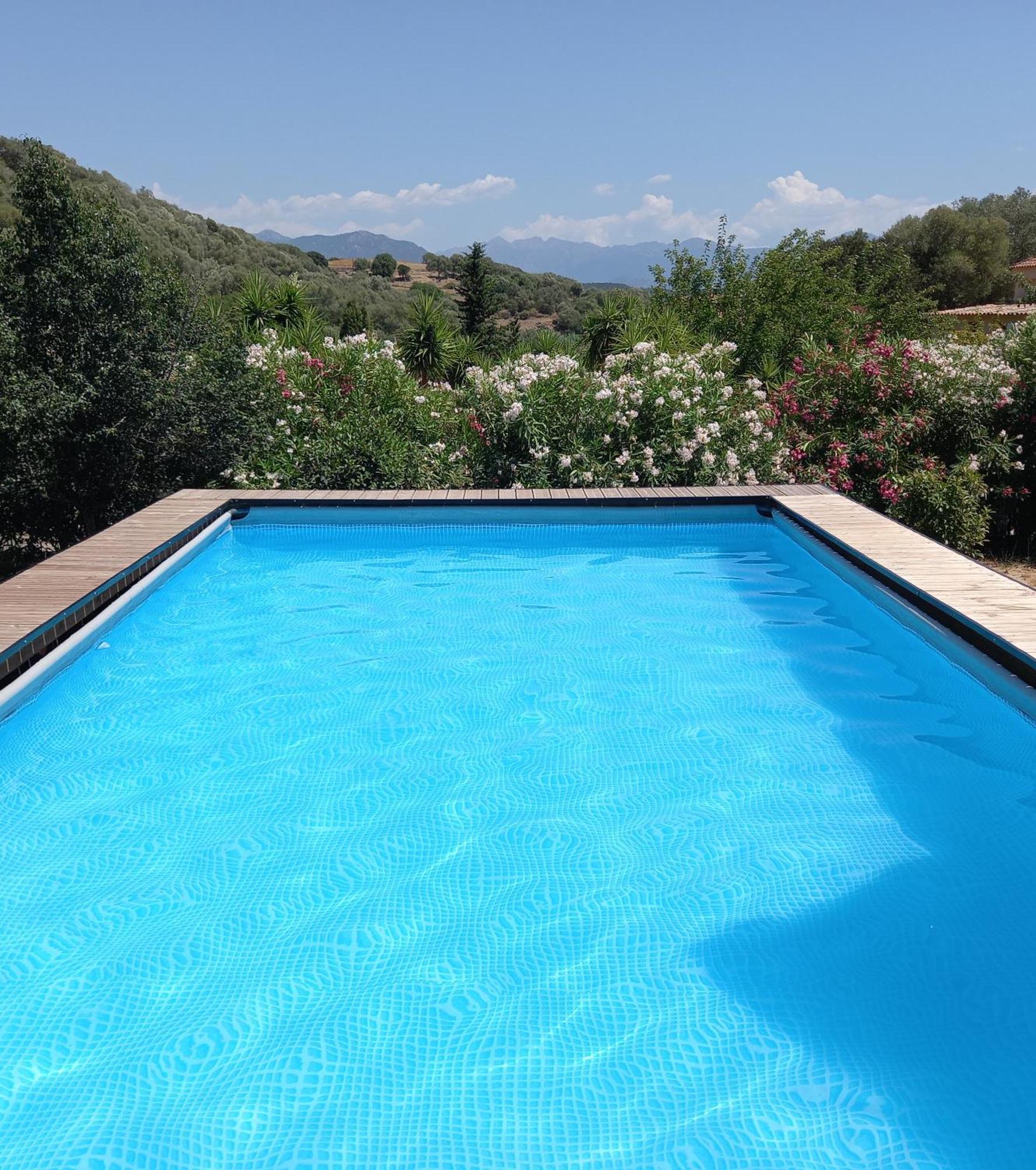 L'Amandier -Le Figuier-Les Lauriers Roses Ajaccio  Buitenkant foto
